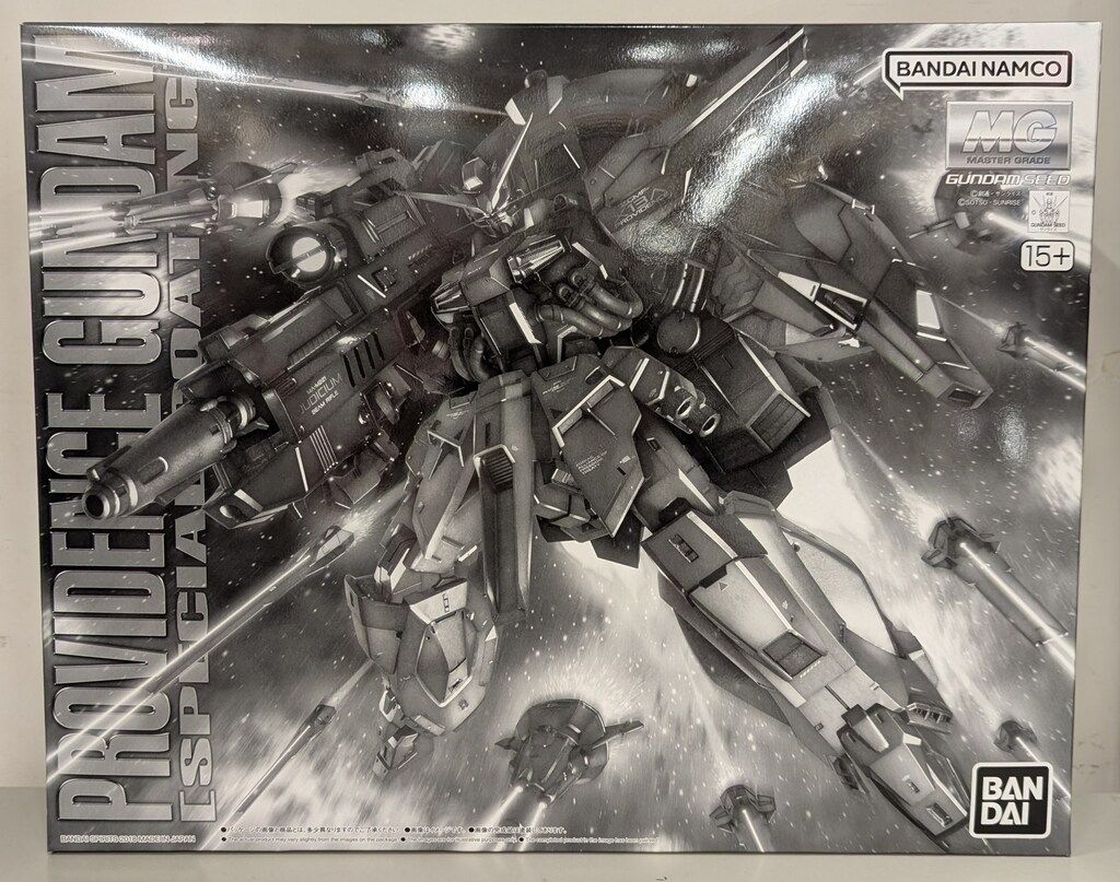 BANDAINAMCO/BANDAISPIRITS MG 1/100 バンダイナムコ版 プロヴィデンスガンダム スペシャルコーティング