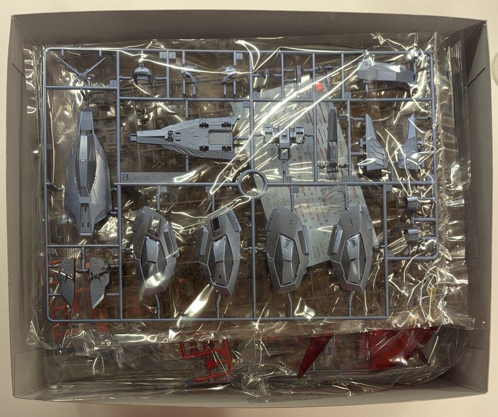 BANDAINAMCO/BANDAISPIRITS MG 1/100 バンダイナムコ版 プロヴィデンスガンダム スペシャルコーティング