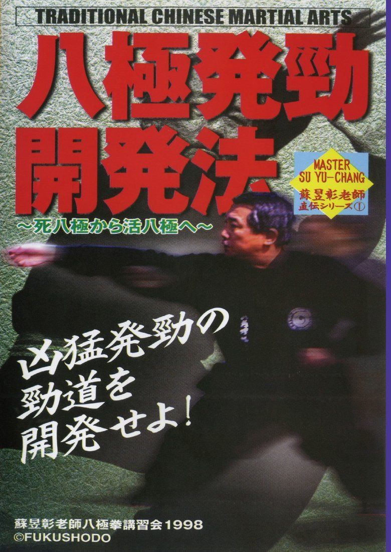 八極発勁開発法 [DVD]