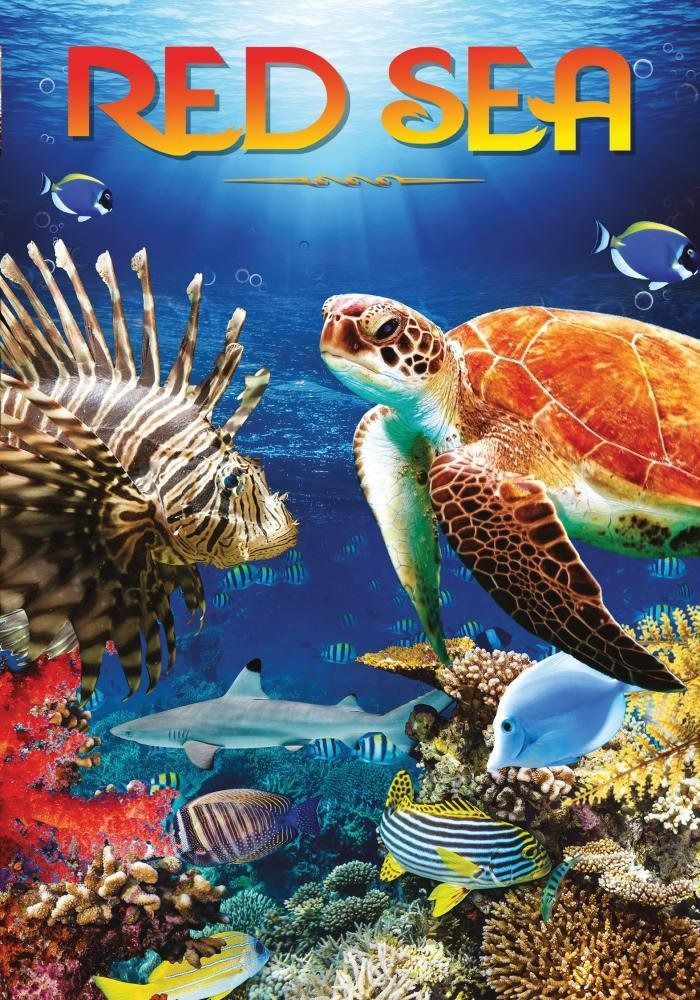 Red Sea [DVD]