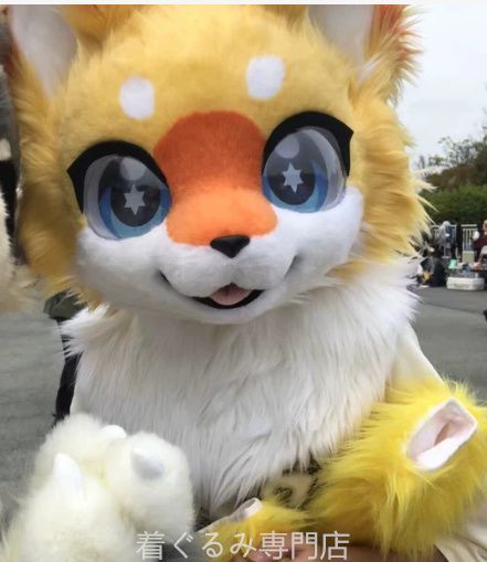 犬　猫　着ぐるみ ヘッド全頭　ヘッド ケモノ ファースーツ ぬいぐるみ コスプレ コスチューム Kurumi 一点物 C633