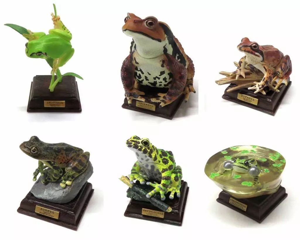 【中古】トレーディングフィギュア 全6種セット 「ネイチャーテクニカラー 日本のカエル 特装版」