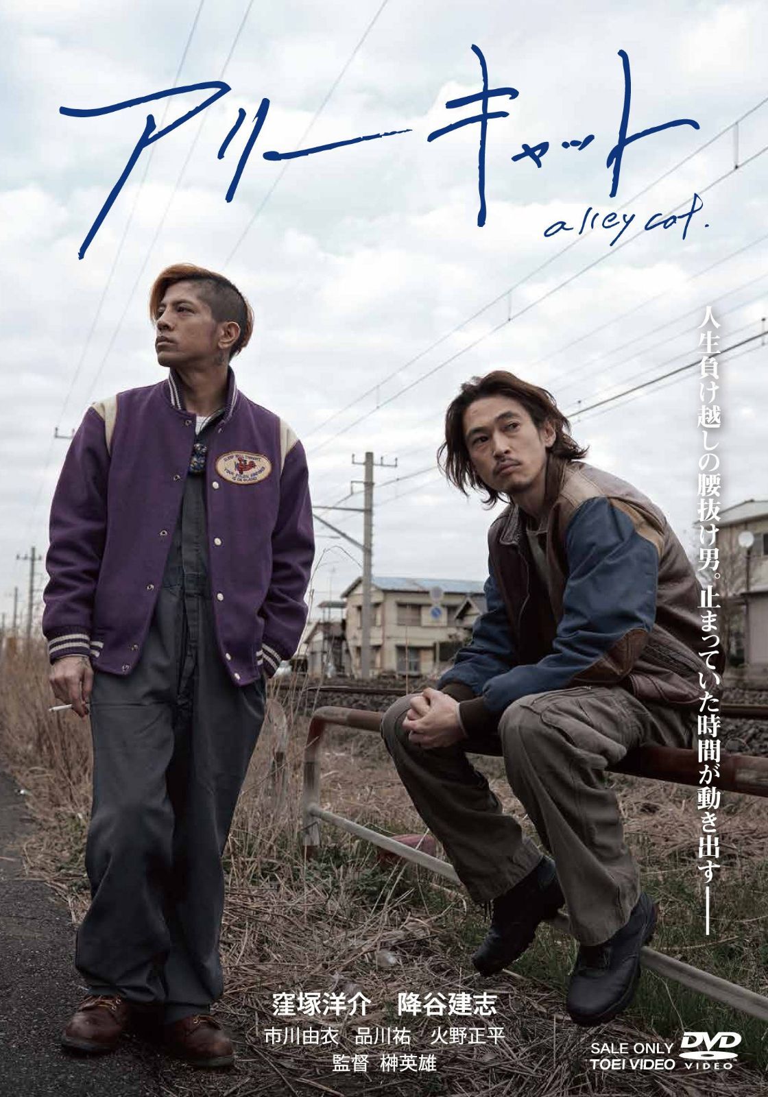 アリーキャット [DVD]