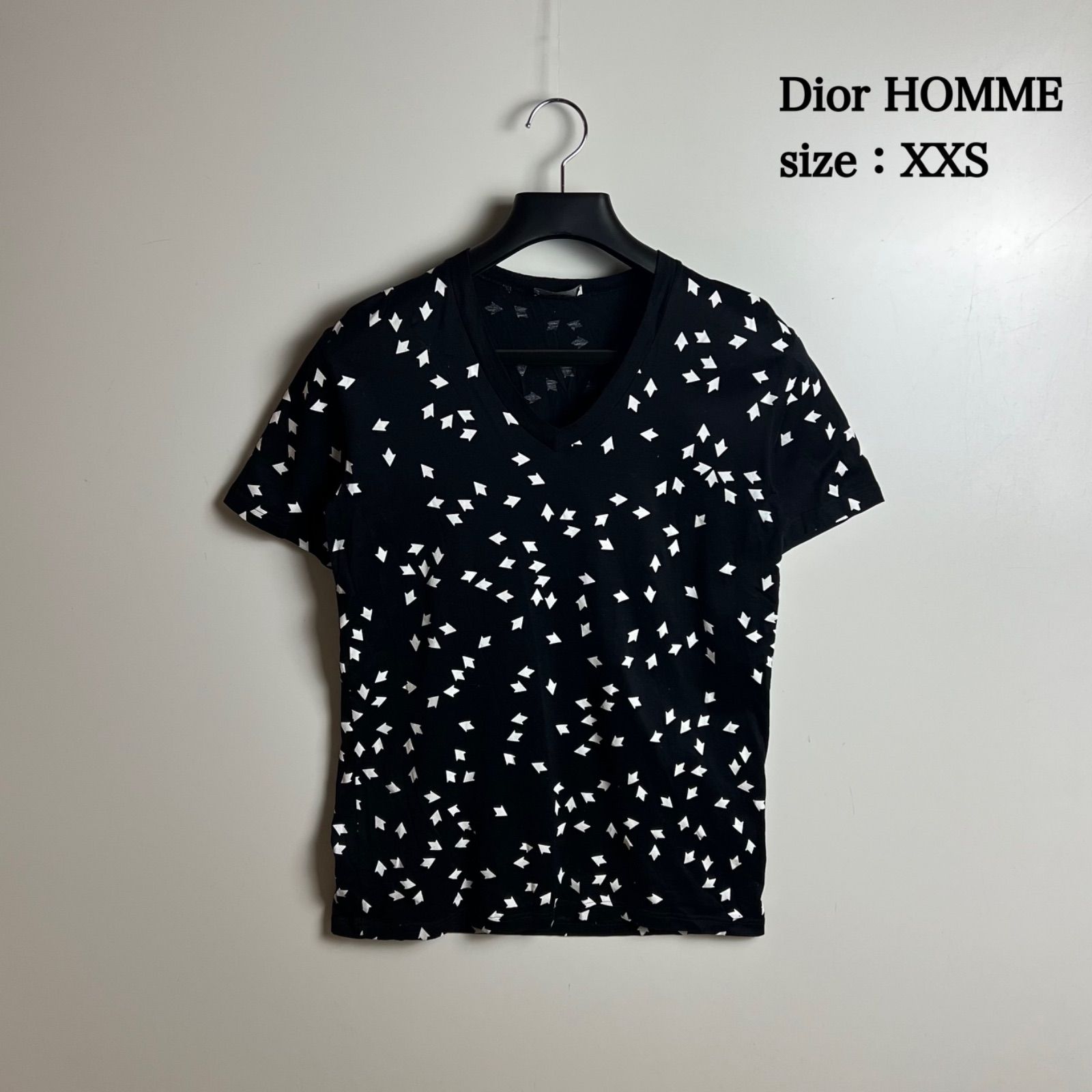 Dior HOMME 2008 08ss 00s Hedi archive all pattern V Tee XXS