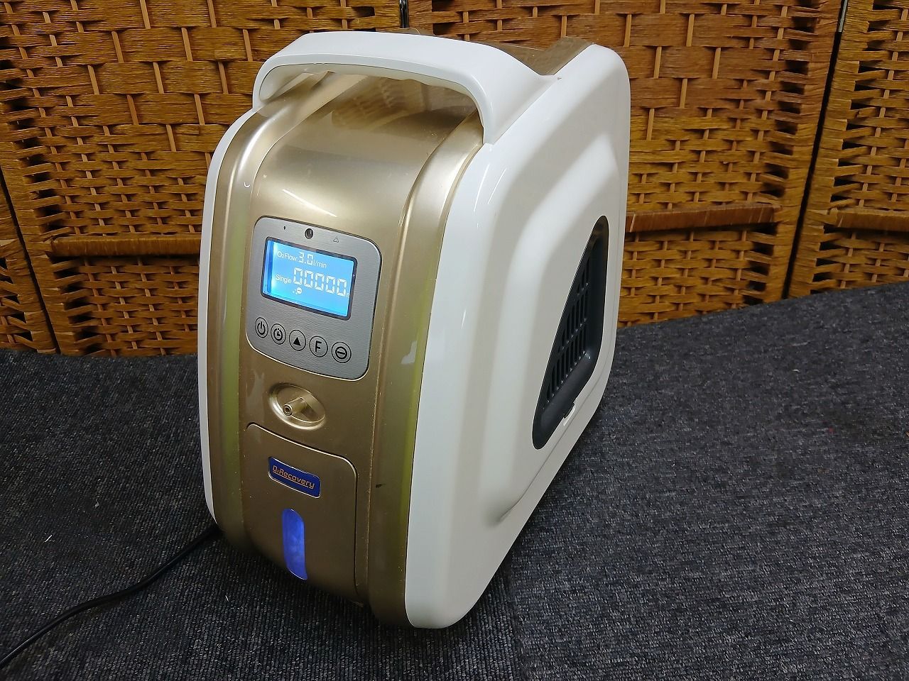 白蛇伝】極上株 完璧子株付き！ 親株サイズ