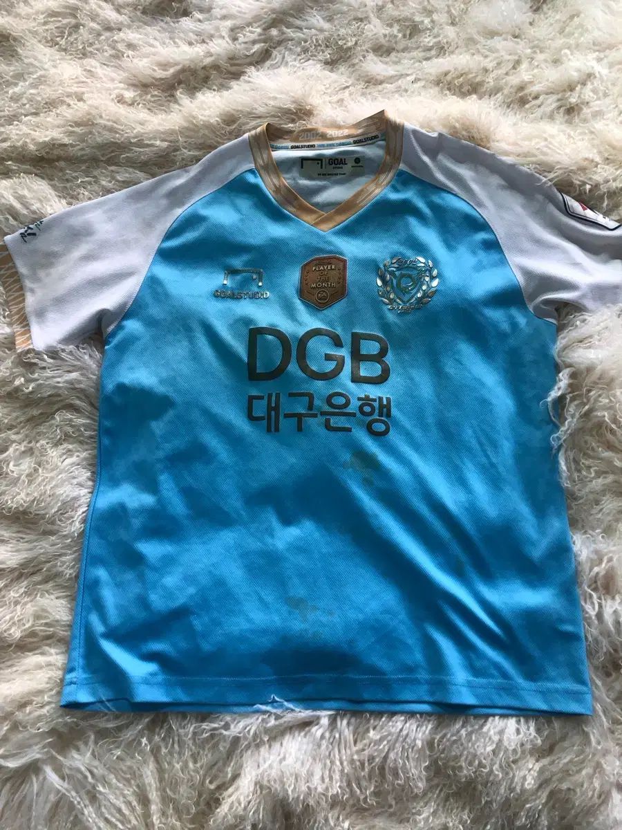 大邱FC セシーニャ（CESINHA） large (ラージ)