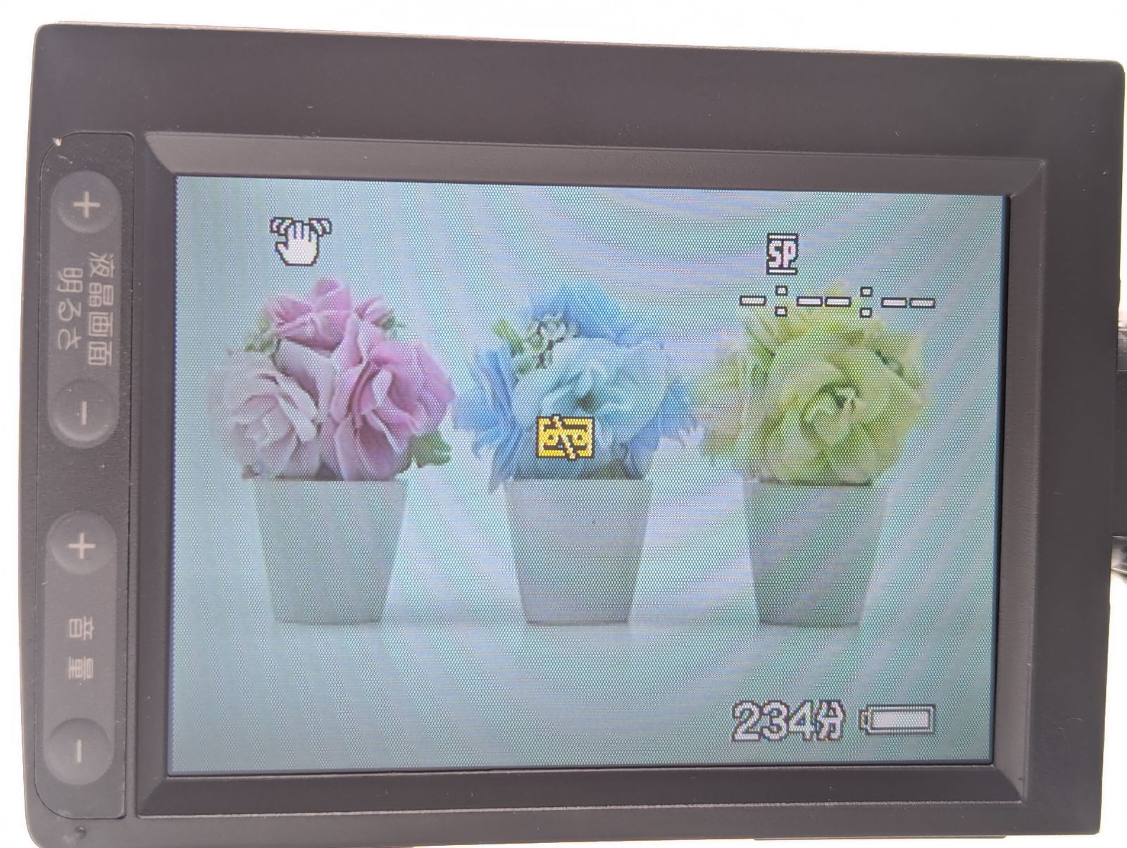 miniDVのダビングに！ SONY ソニー ビデオカメラ DCR-TRV9 03 7日間