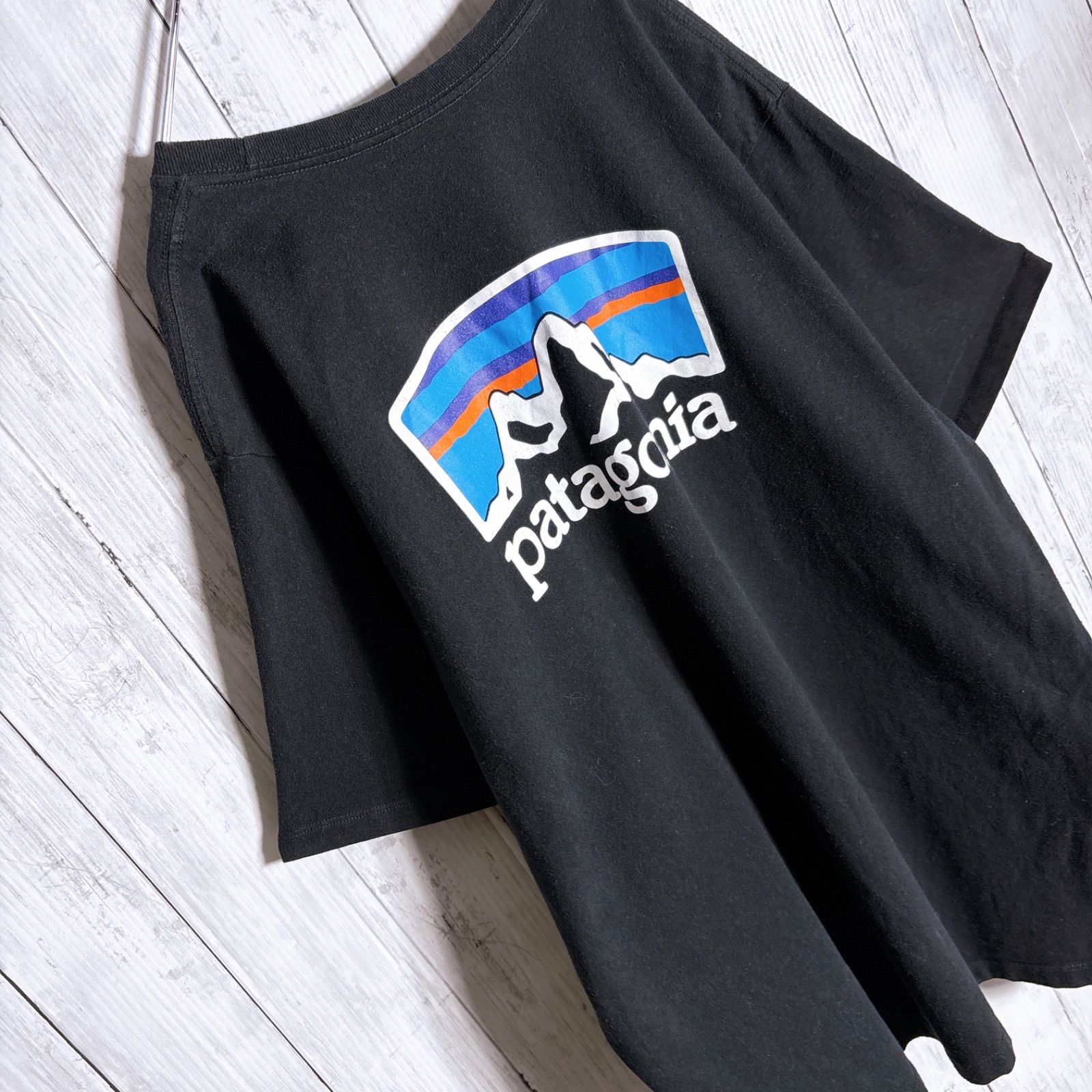 人気ブランド/定番ロゴ】Patagonia パタゴニア バックロゴ Tシャツ
