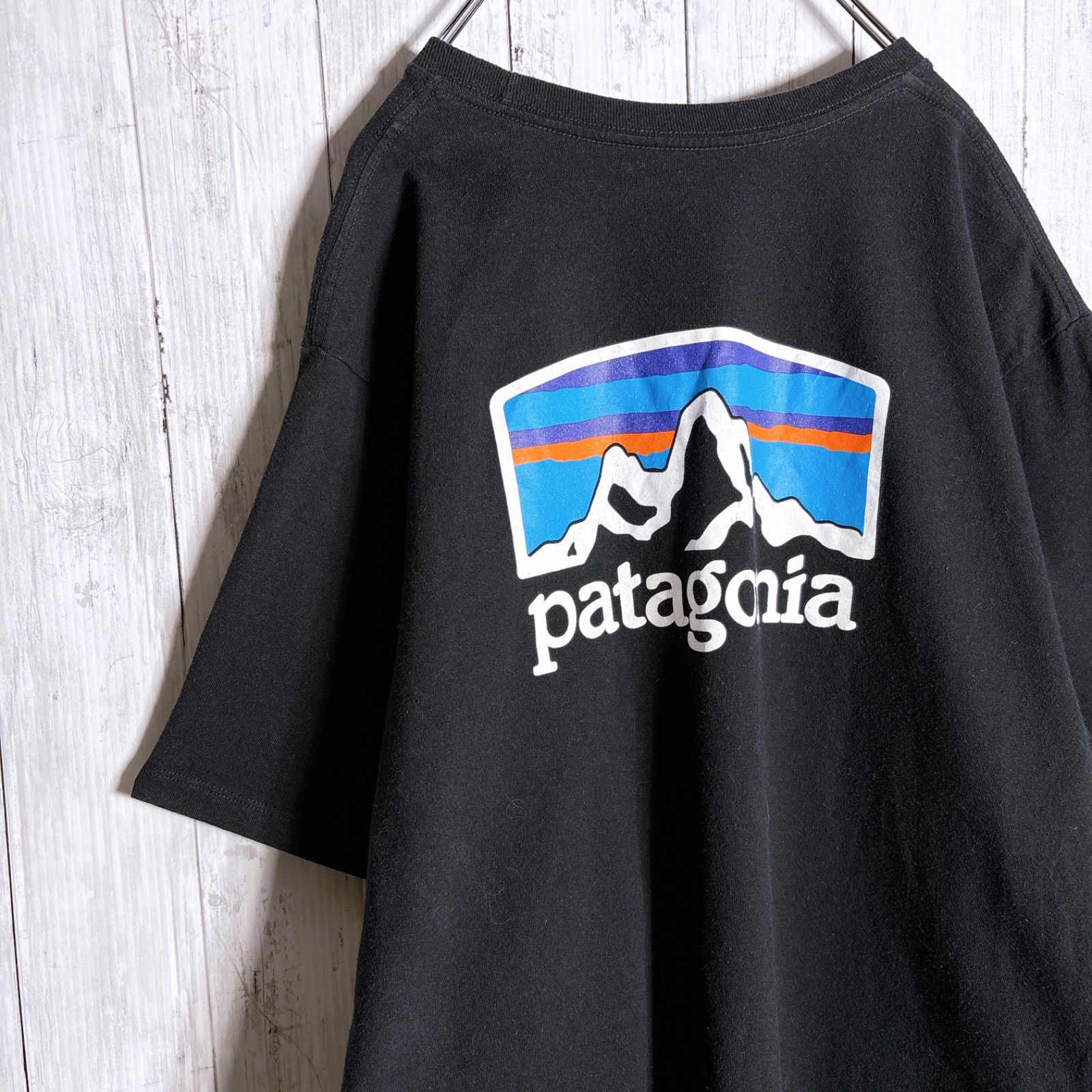 人気ブランド/定番ロゴ】Patagonia パタゴニア バックロゴ Tシャツ