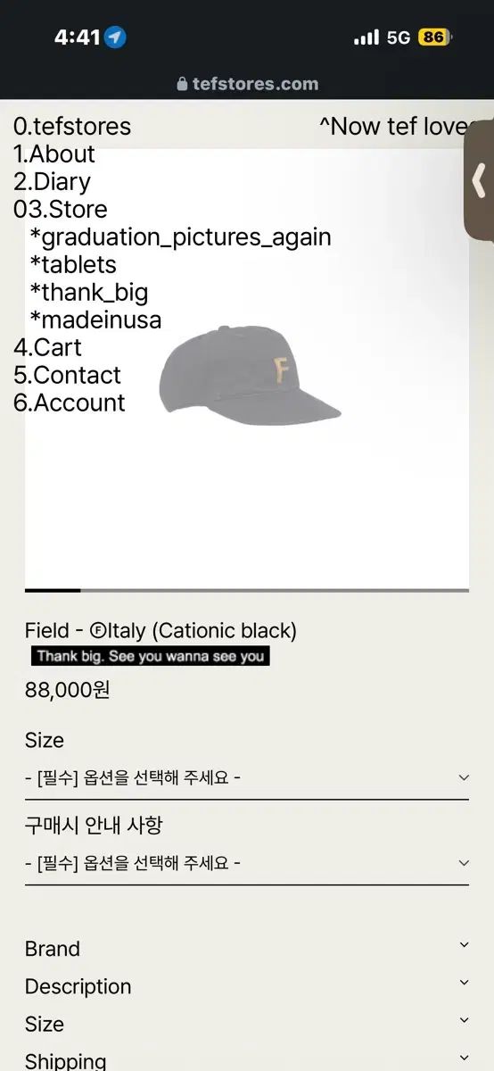 テフストアーズ Field - @Italy (Cationic black) M