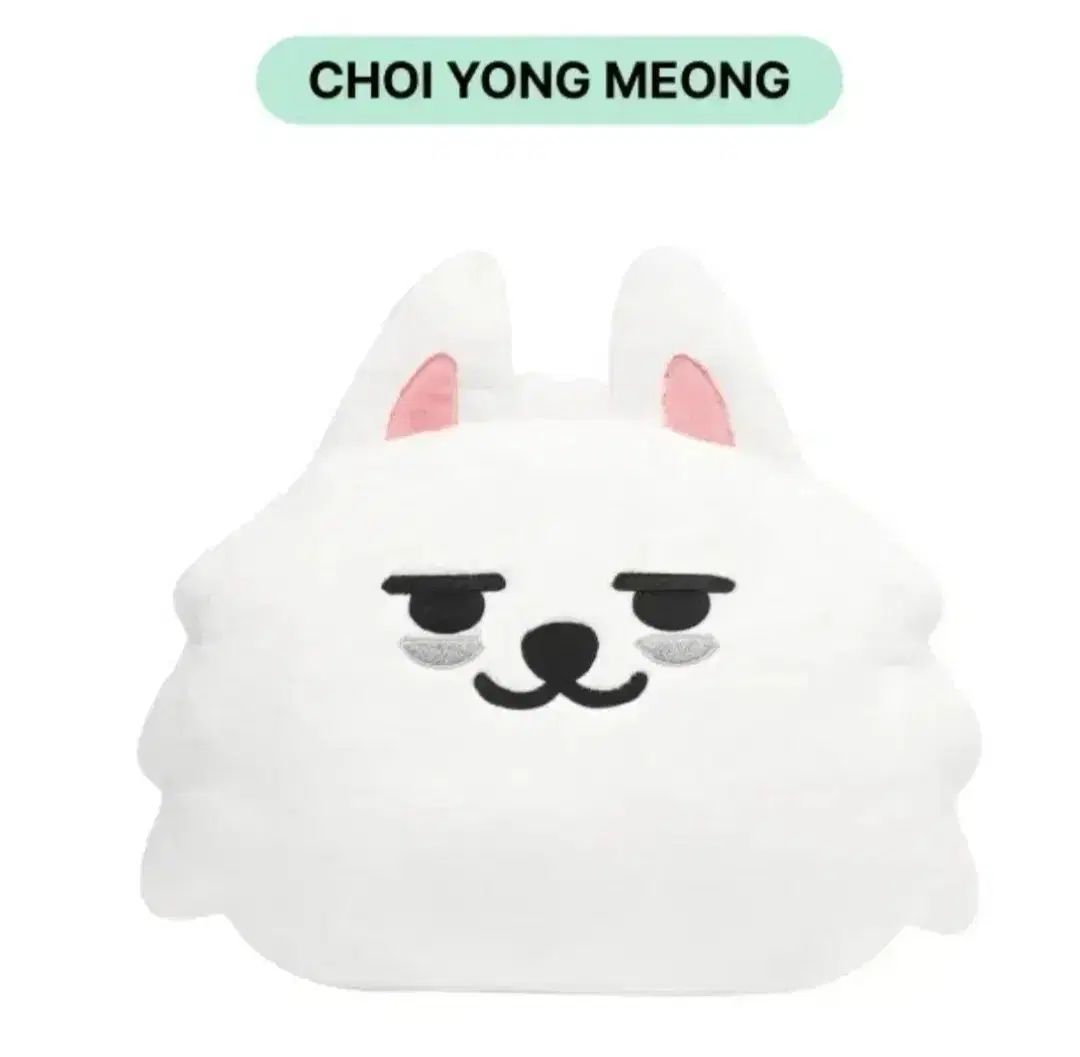 チェ・ヨンミョン FACE CUSHION