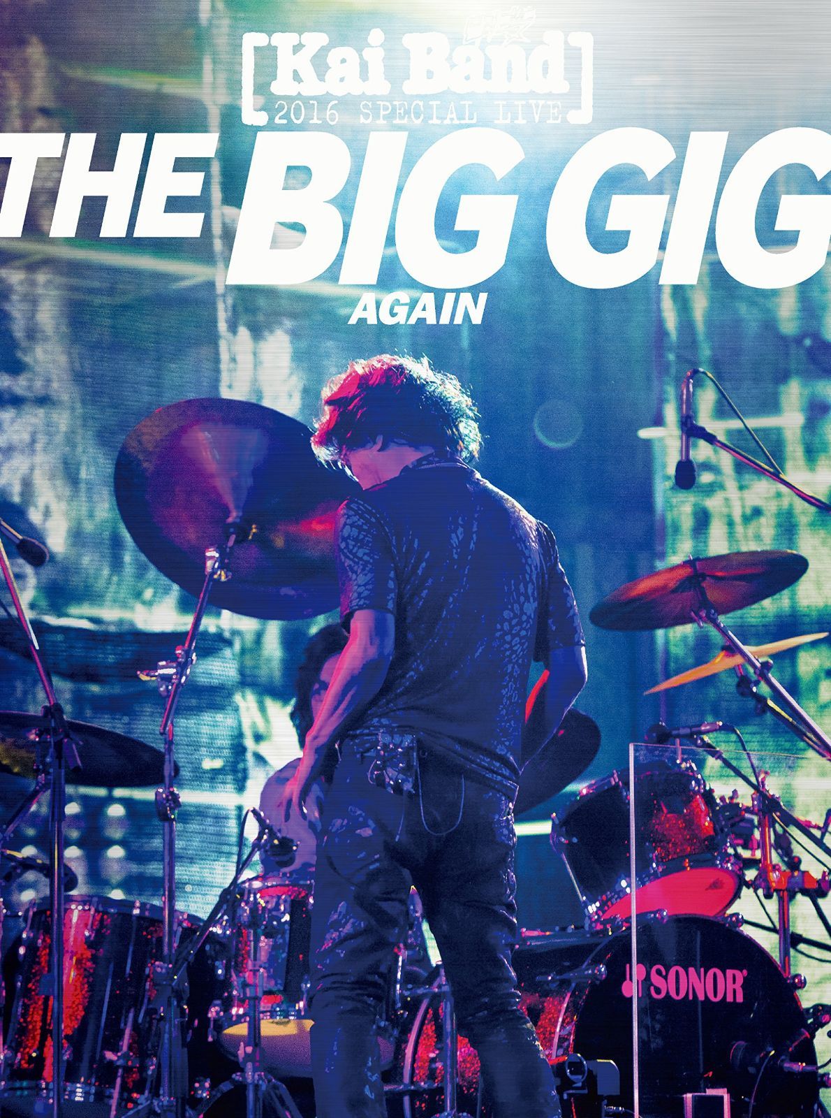 THE BIB GIG AGAIN [DVD]