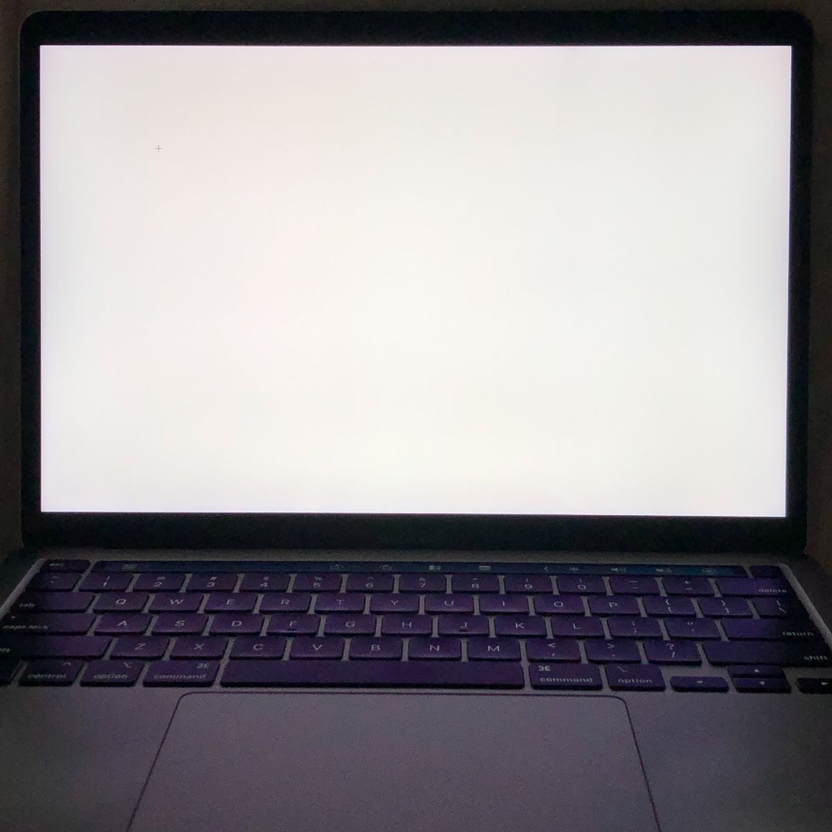ジャンク】MacBook Pro 13