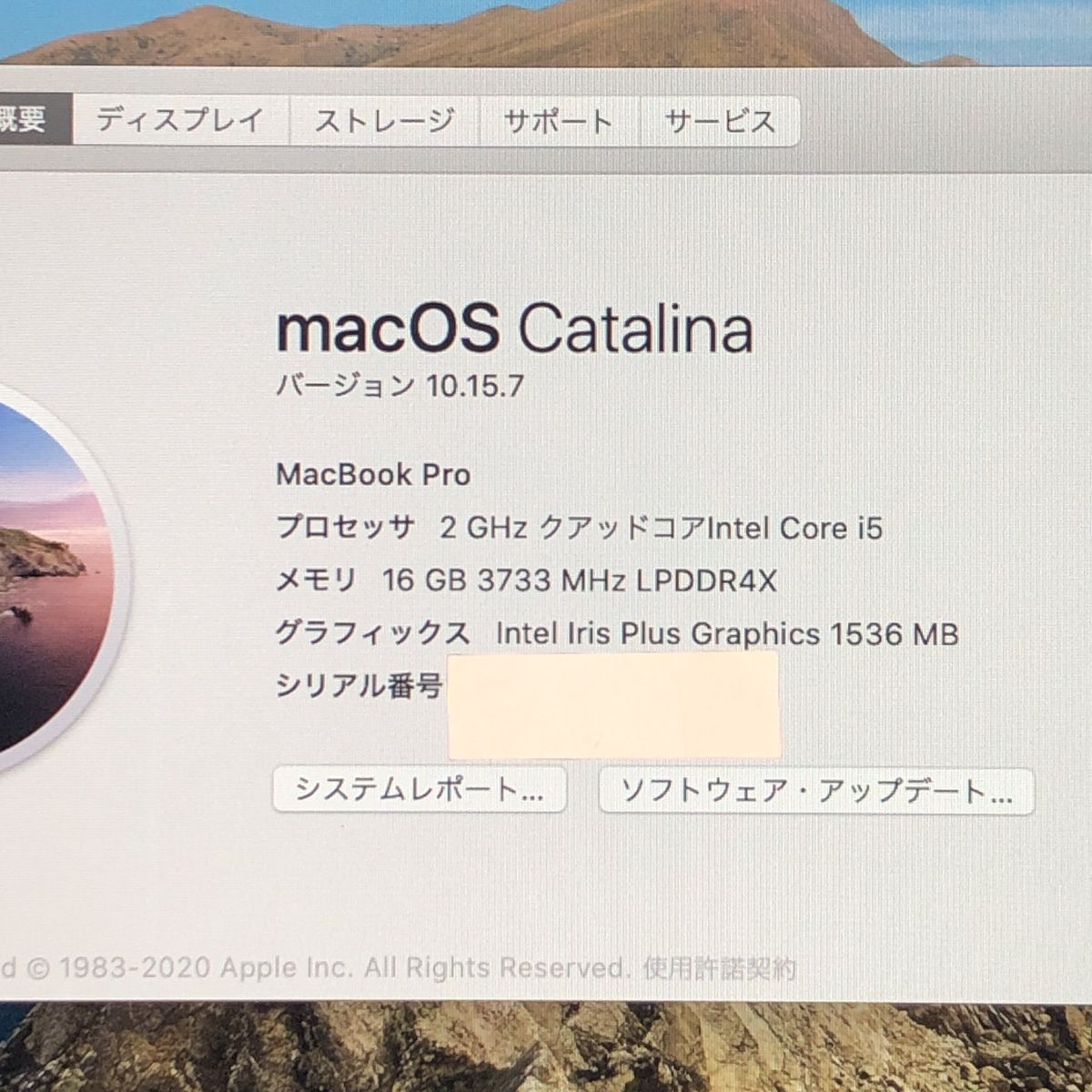 ◇ジャンク品・本体のみ◇Apple MacBook Pro (13インチ 2020