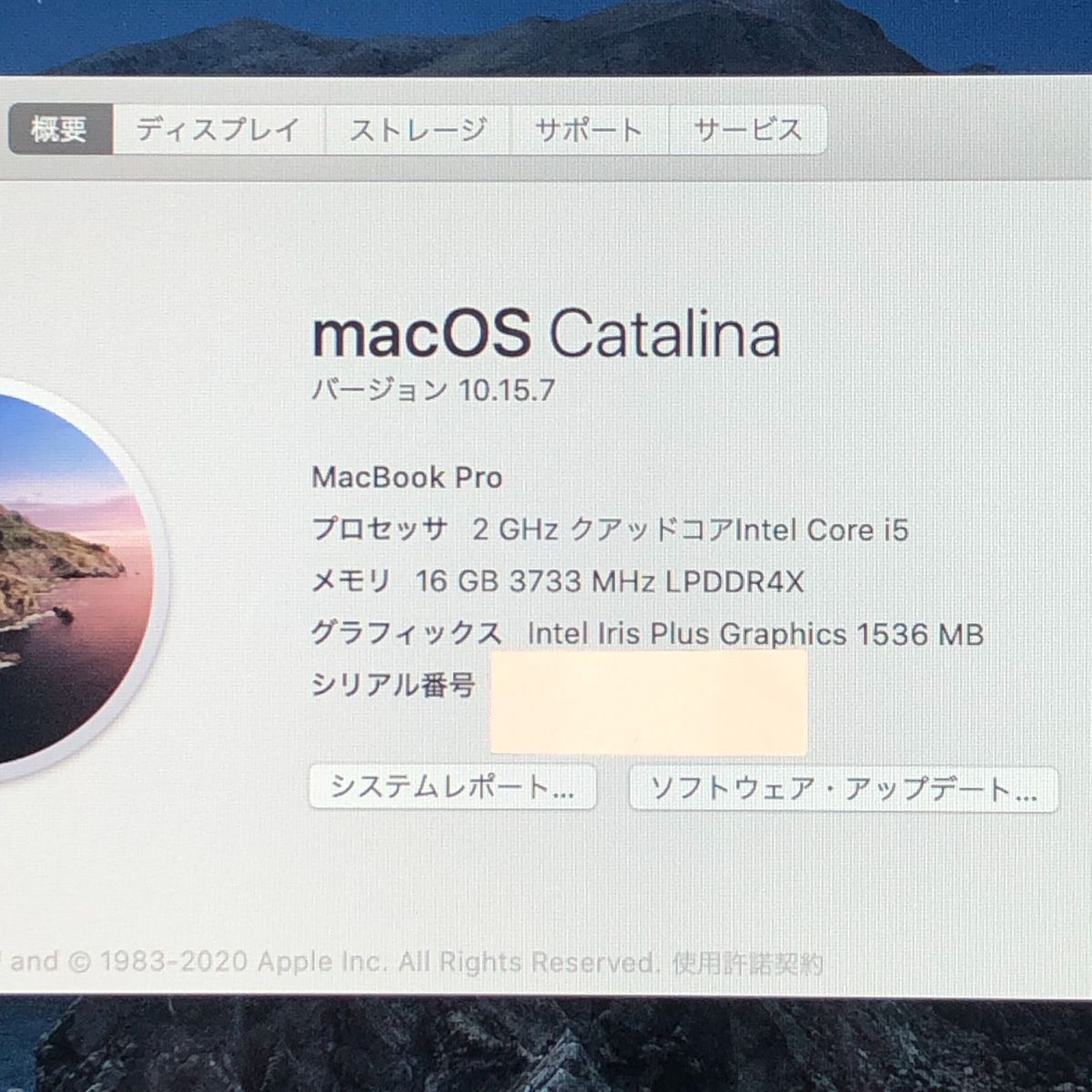 ジャンク MacBook Pro 13