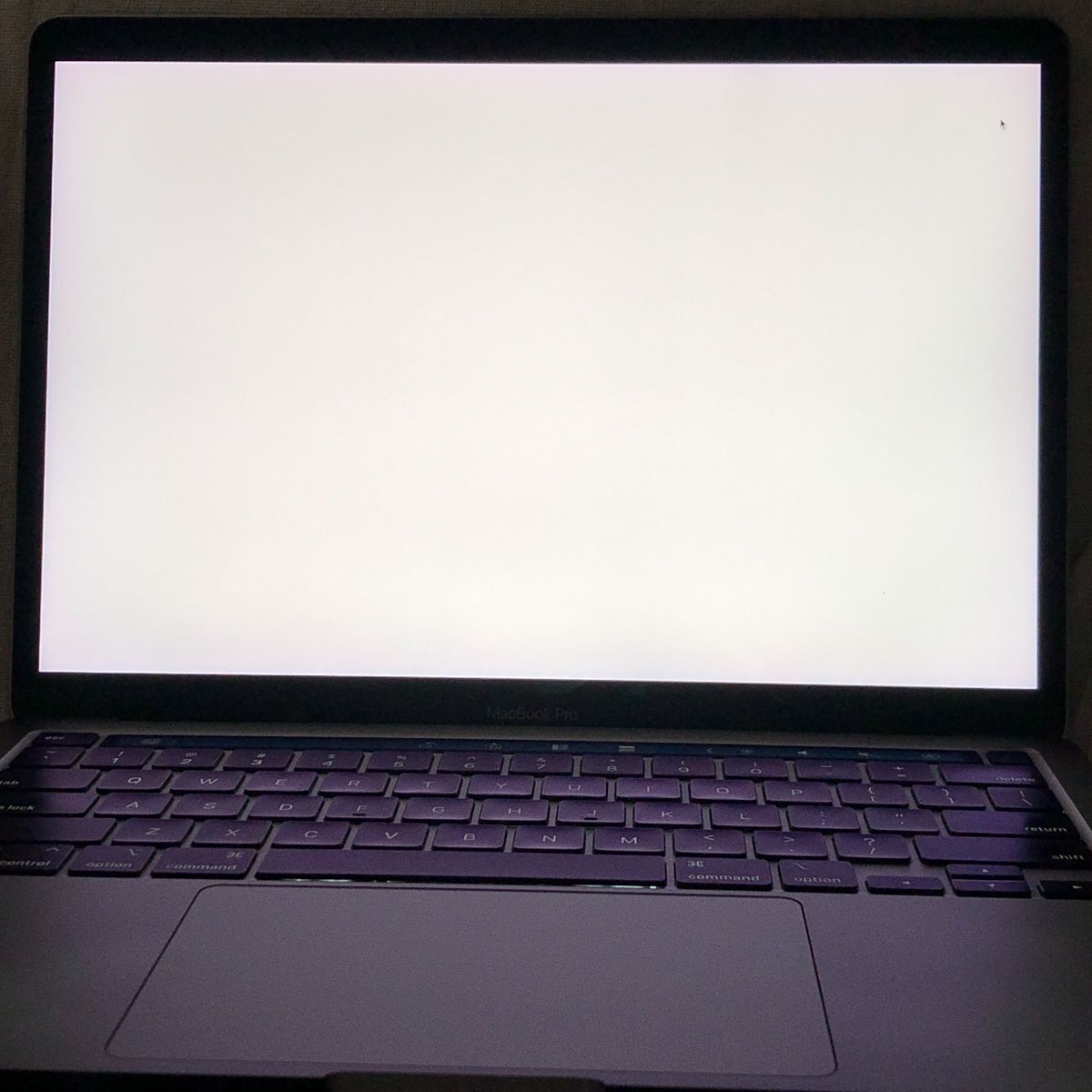 ジャンク】MacBook Pro 13