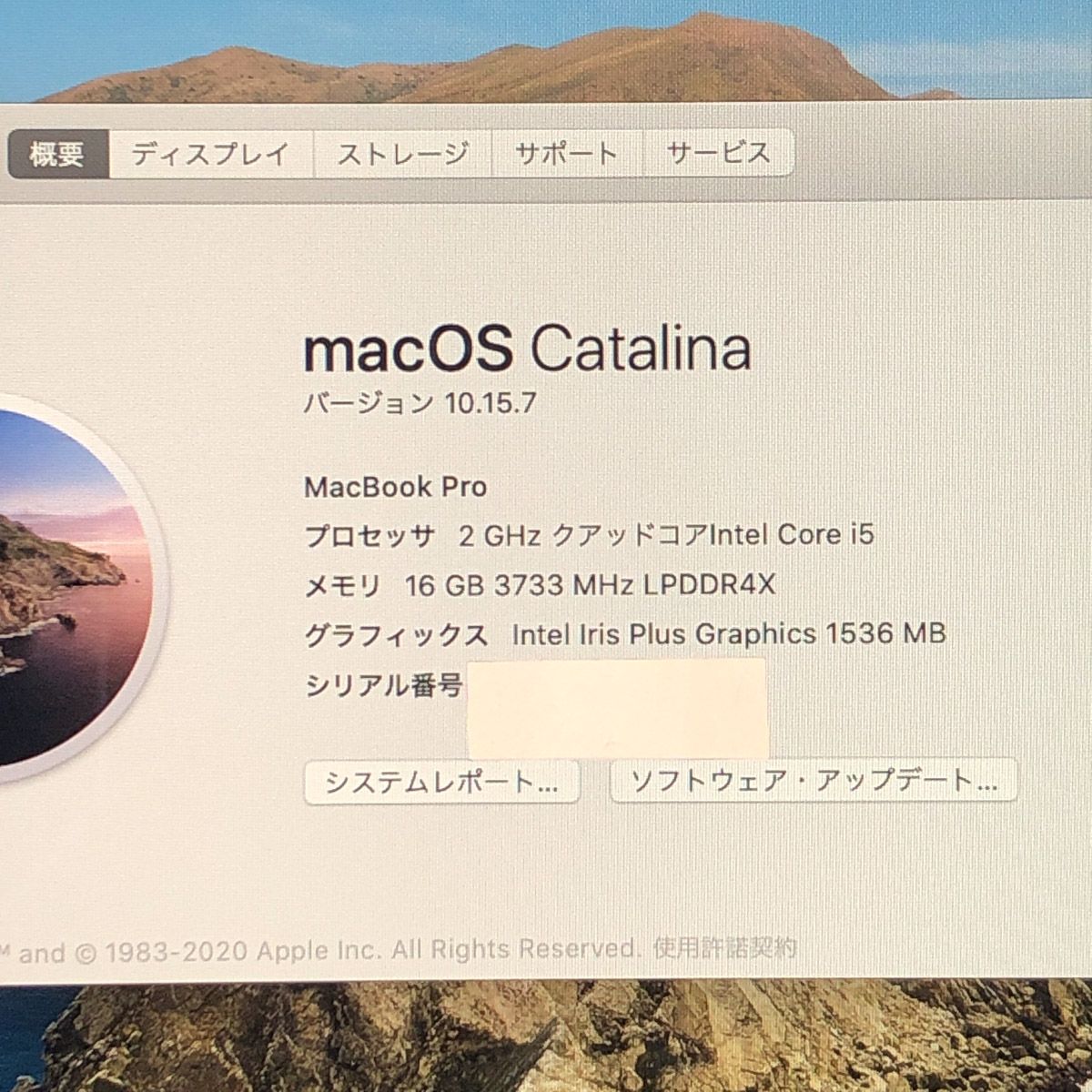 ◇ジャンク品・本体のみ◇Apple MacBook Pro (13インチ 2020 
