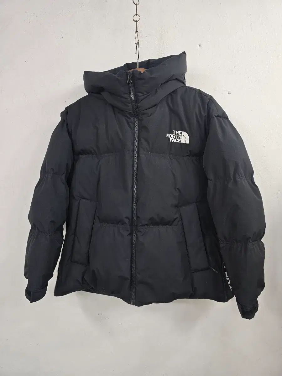 THE NORTH FACE ザノースフェイス チェナ グース ダウン ジャケット