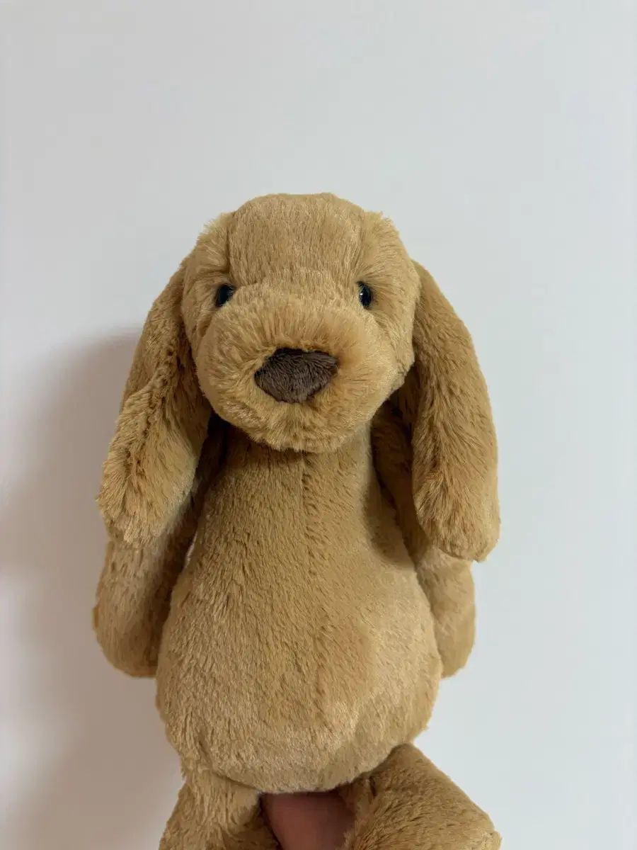 JELLYCAT(ジェリーキャット) バシュフル トフィー ファー パピー