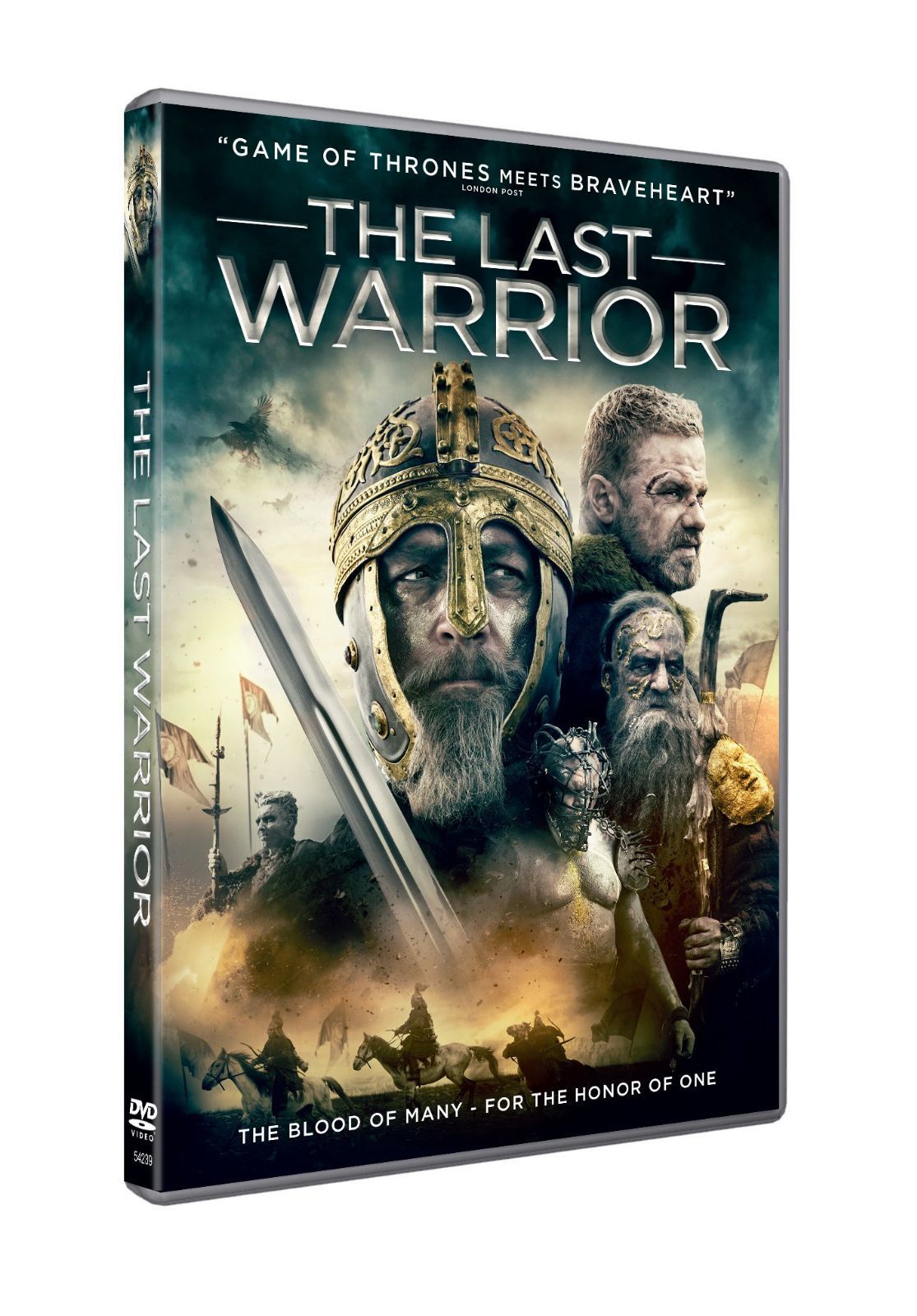 The Last Warrior [DVD]