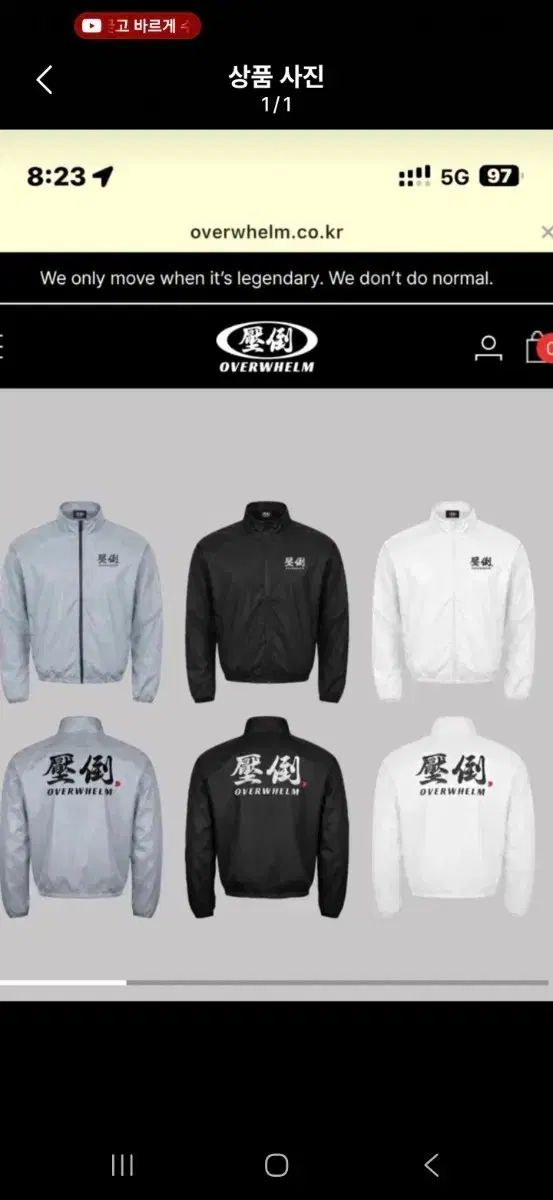 圧倒ウィンドブレーカー L 出品