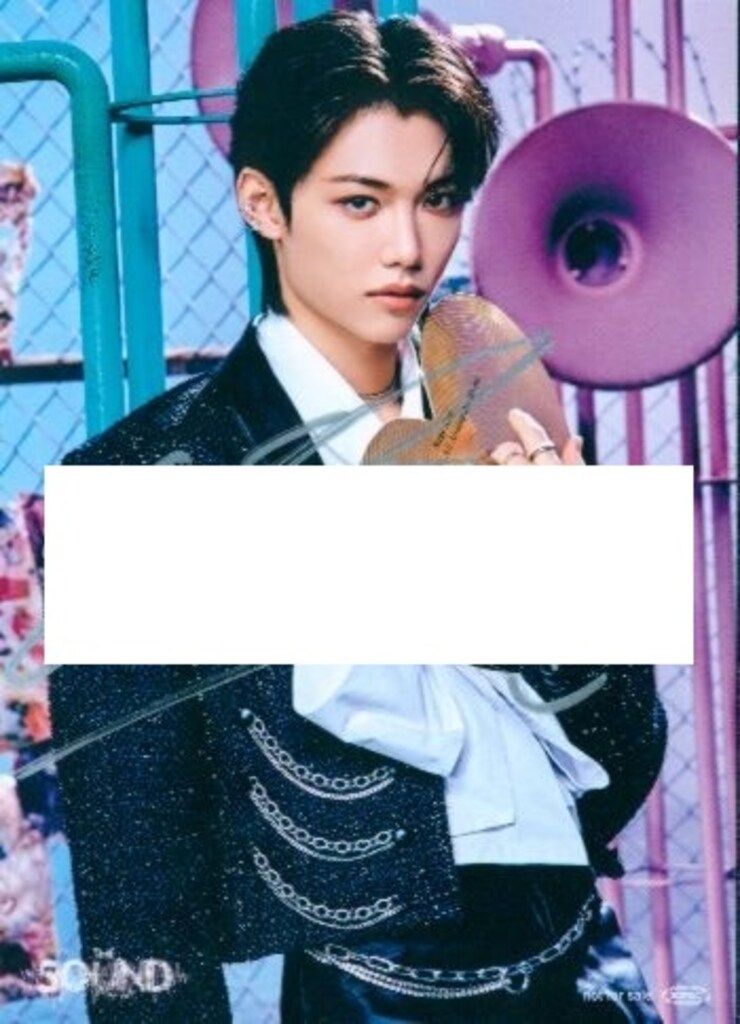 StrayKids THE SOUNDオフラインイベント Felix 直筆サイン入り ポストカード