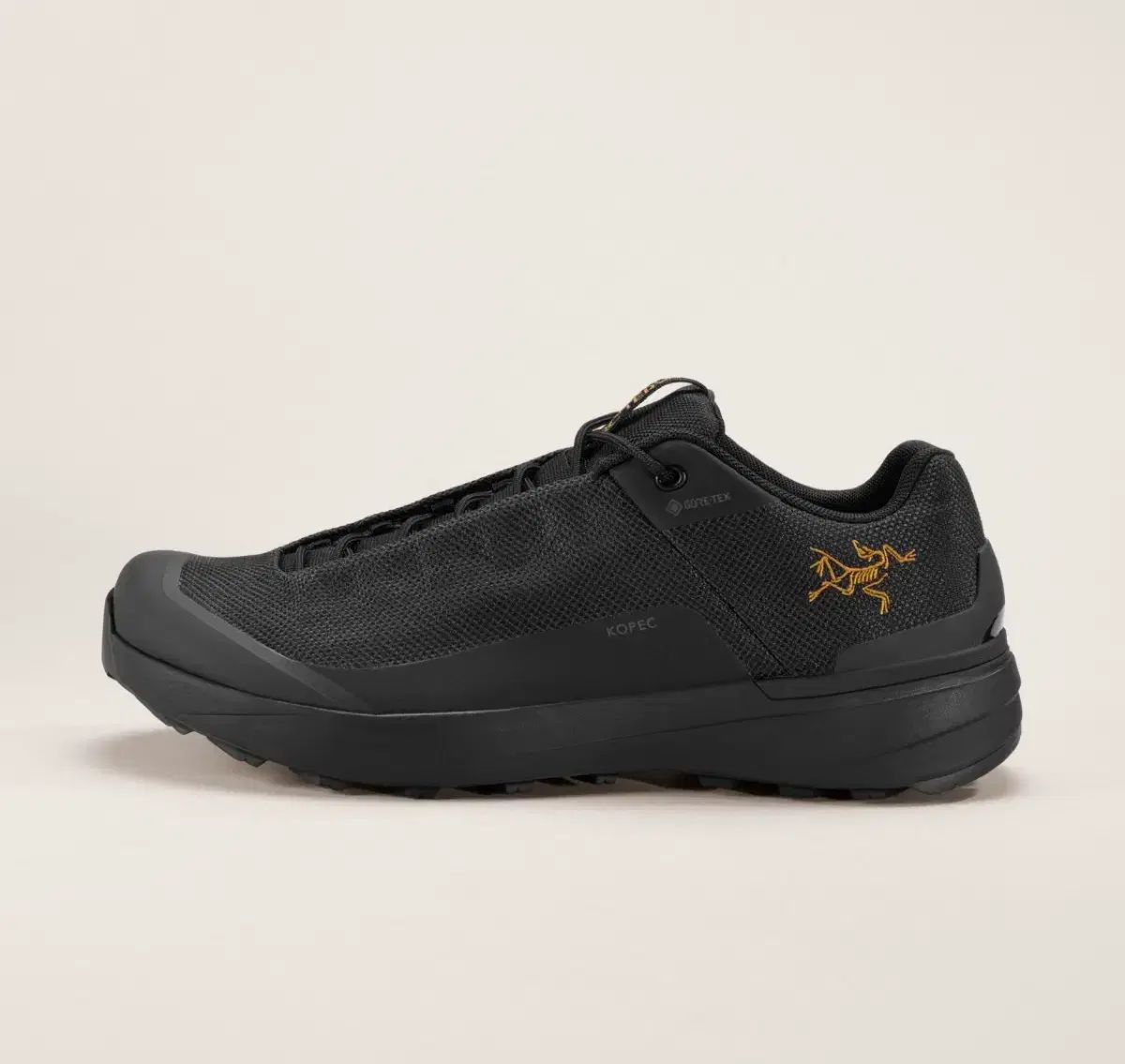 ARC'TERYX アークテリクス コペック GTX ゴアテックス 280