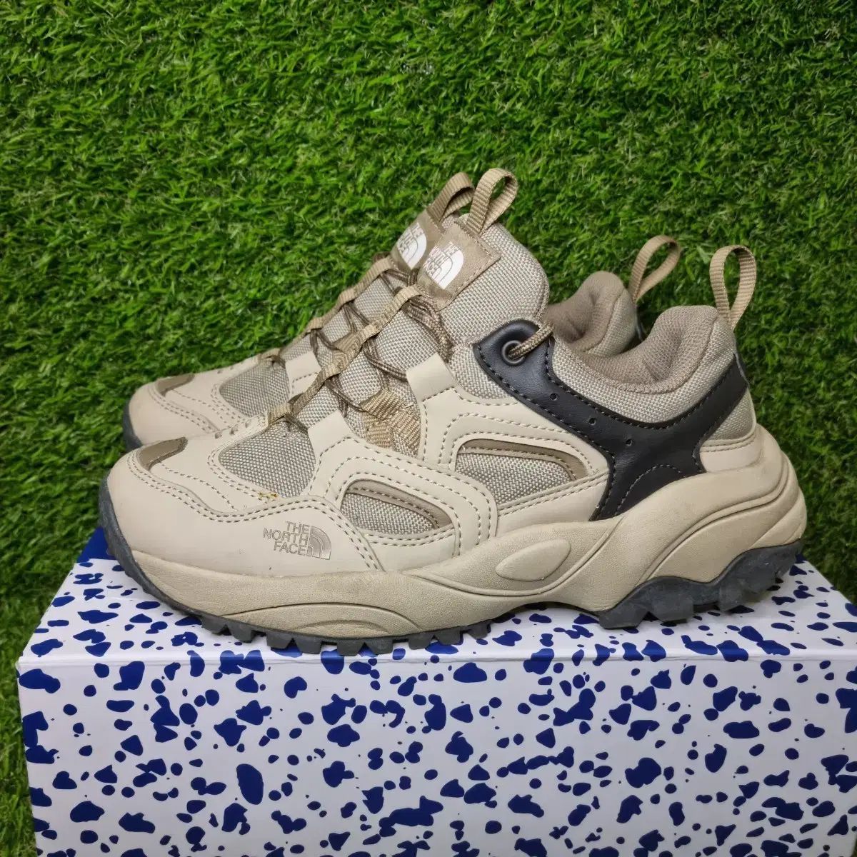 THE NORTH FACE ザノースフェイス スニーカー (235)