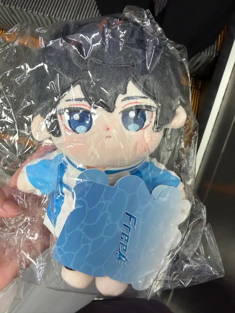 Free! POP MART COOGI (クージー) 七瀬遙 1等 ぬい ぬいぐるみ