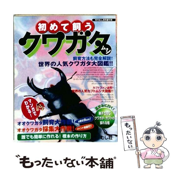 【中古】 初めて飼う クワガタムシ 月刊むし8月増刊号 / /