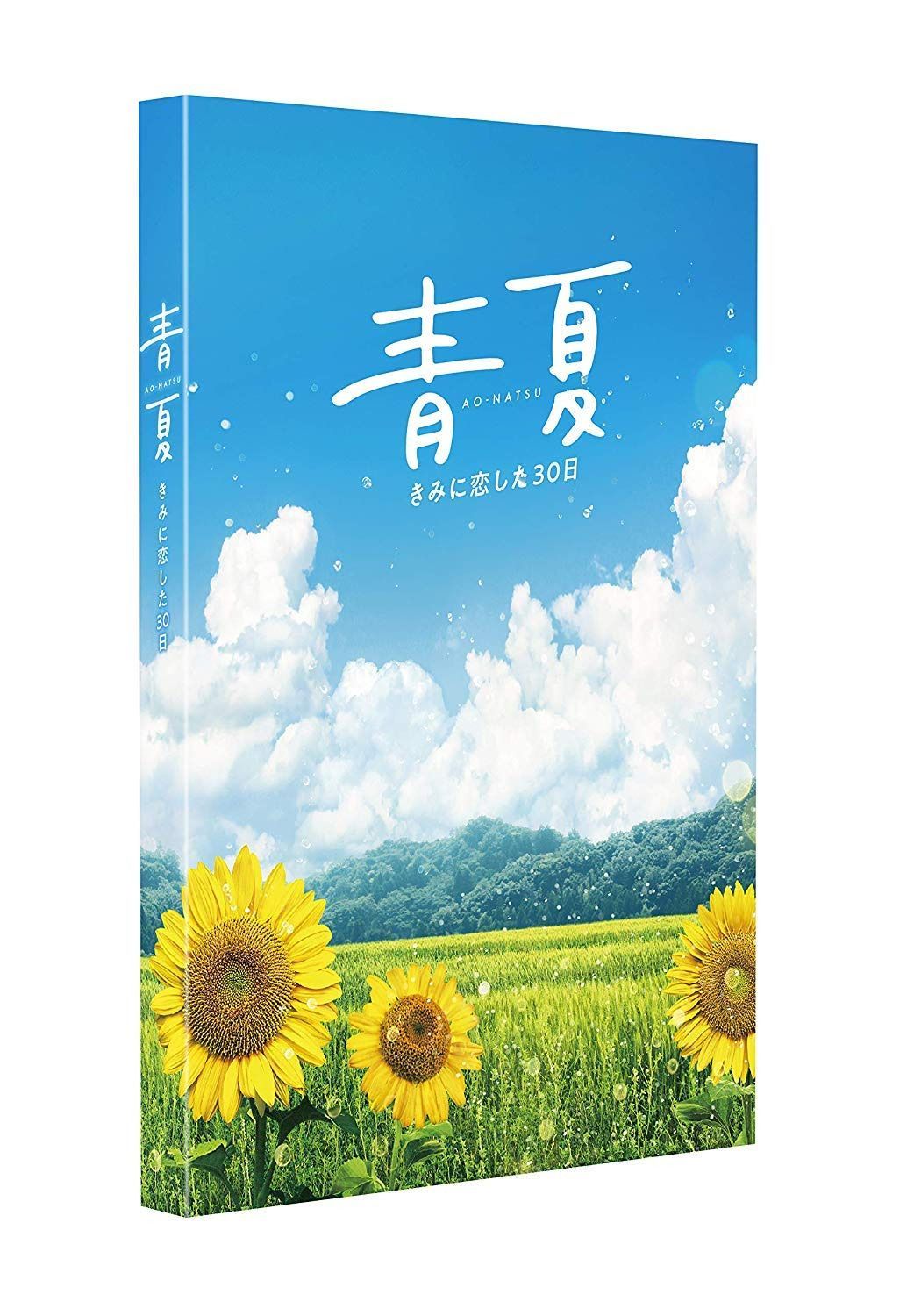 青夏 きみに恋した30日 豪華版 [Blu-ray]