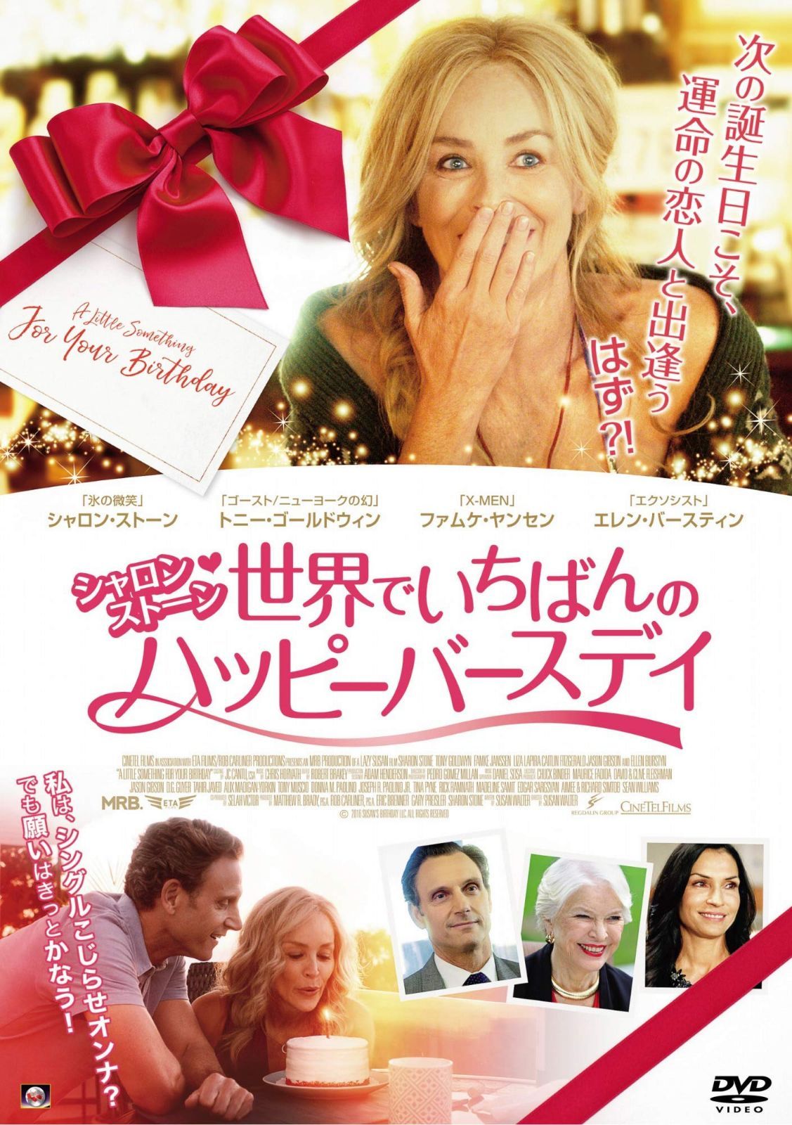 シャロン・ストーン 世界でいちばんのハッピーバースデイ [DVD]