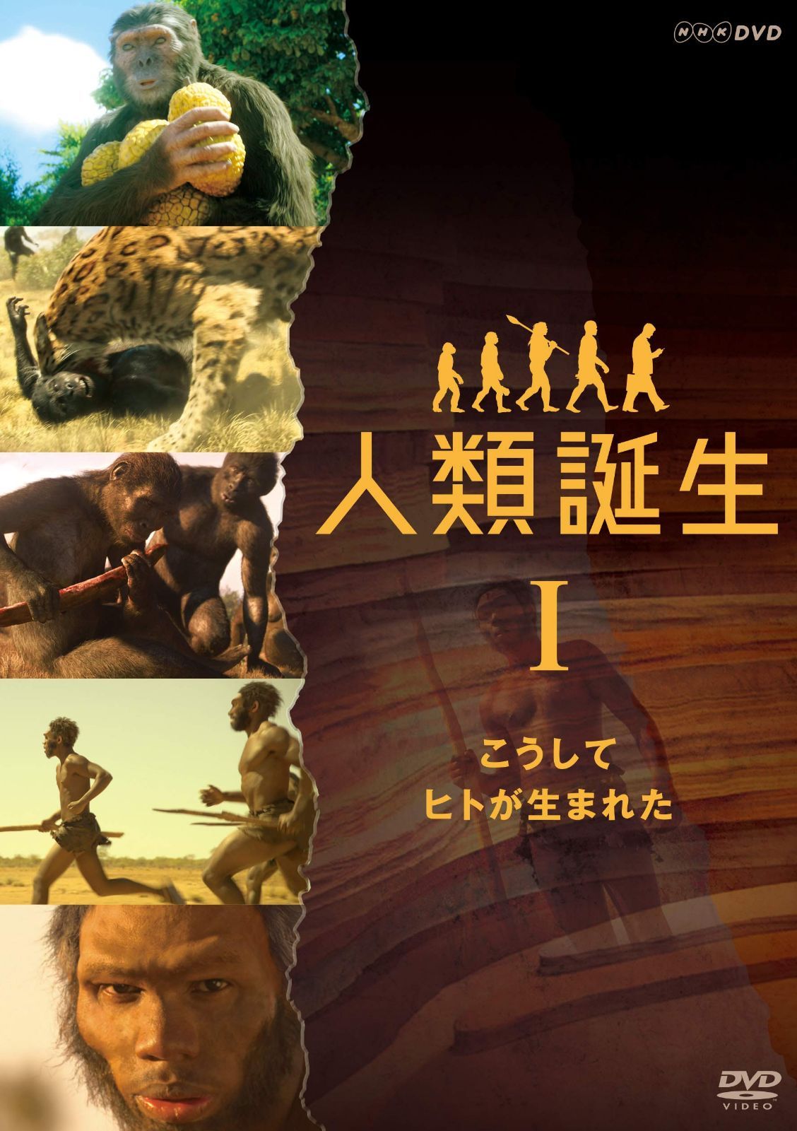 NHKスペシャル 人類誕生 こうしてヒトが生まれた [DVD]
