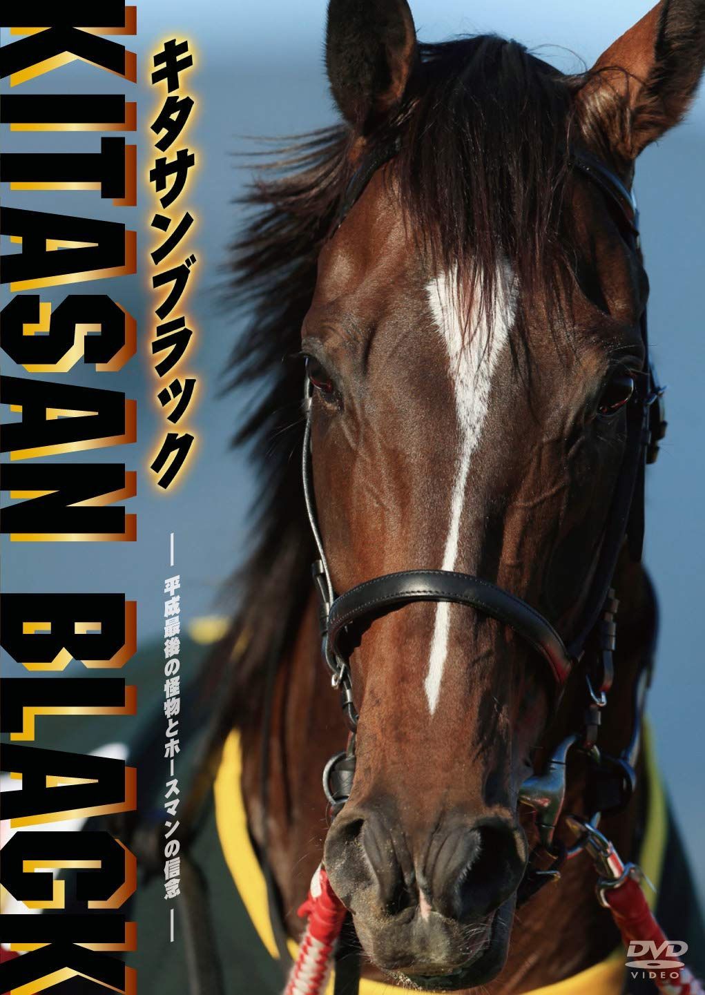 キタサンブラック ~平成最後の怪物とホースマンの信念~[DVD]