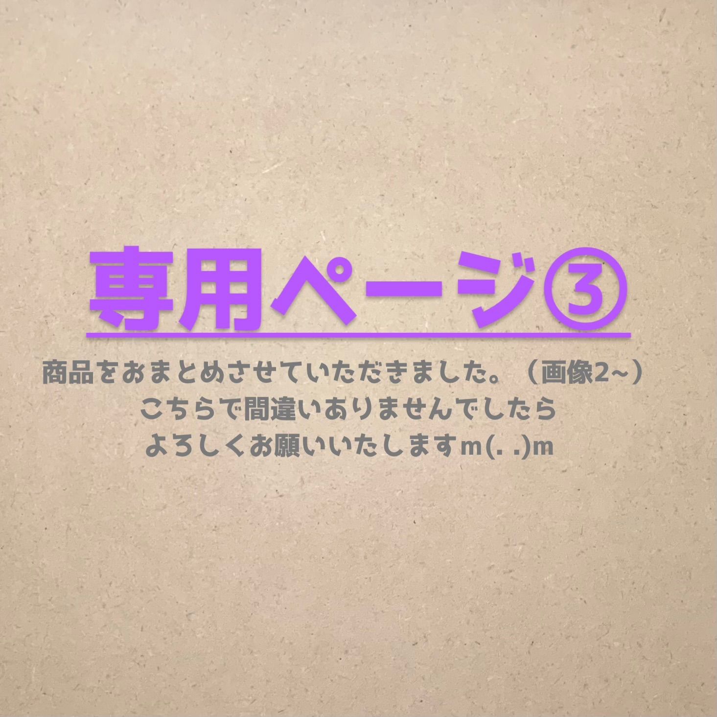 専用ページ③