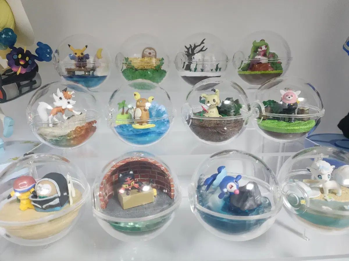 ポケットモンスター リーメント テラリウム ex アローラ