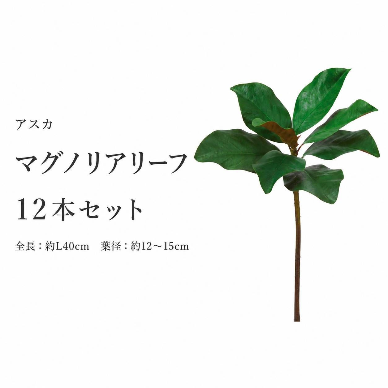 アスカ　マグノリアリーフ12本セット マグノリアリーフ12本セット タグ付き - メルカリ
