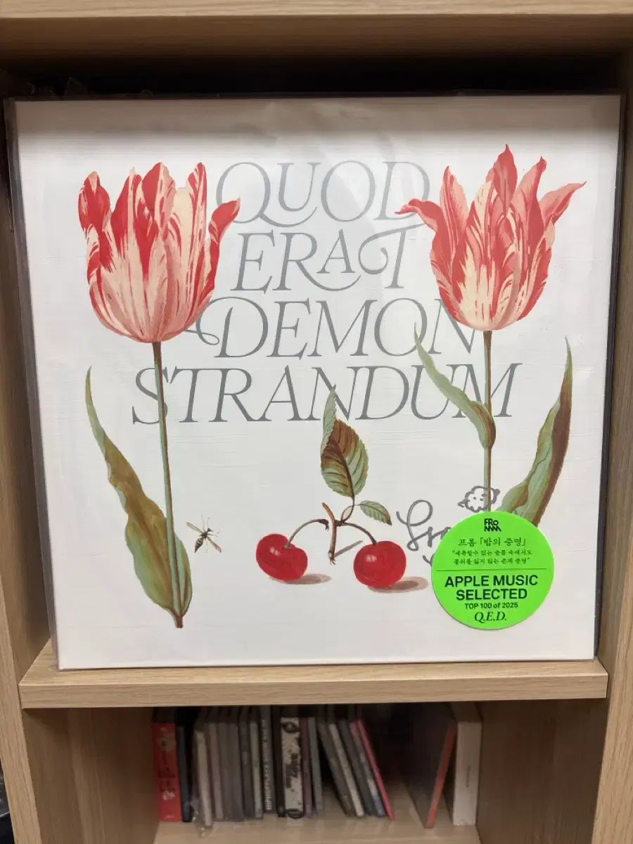 Fromm From Q E D LP 未開封 サインボード