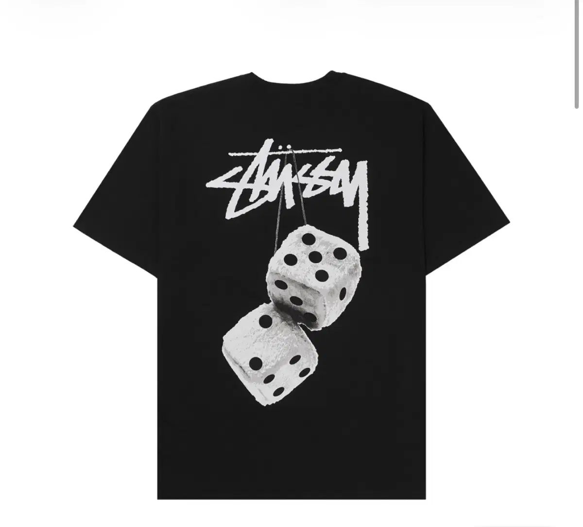 STUSSY ステューシー ファジー DICE ENTWURF Tシャツ ブラック 出品