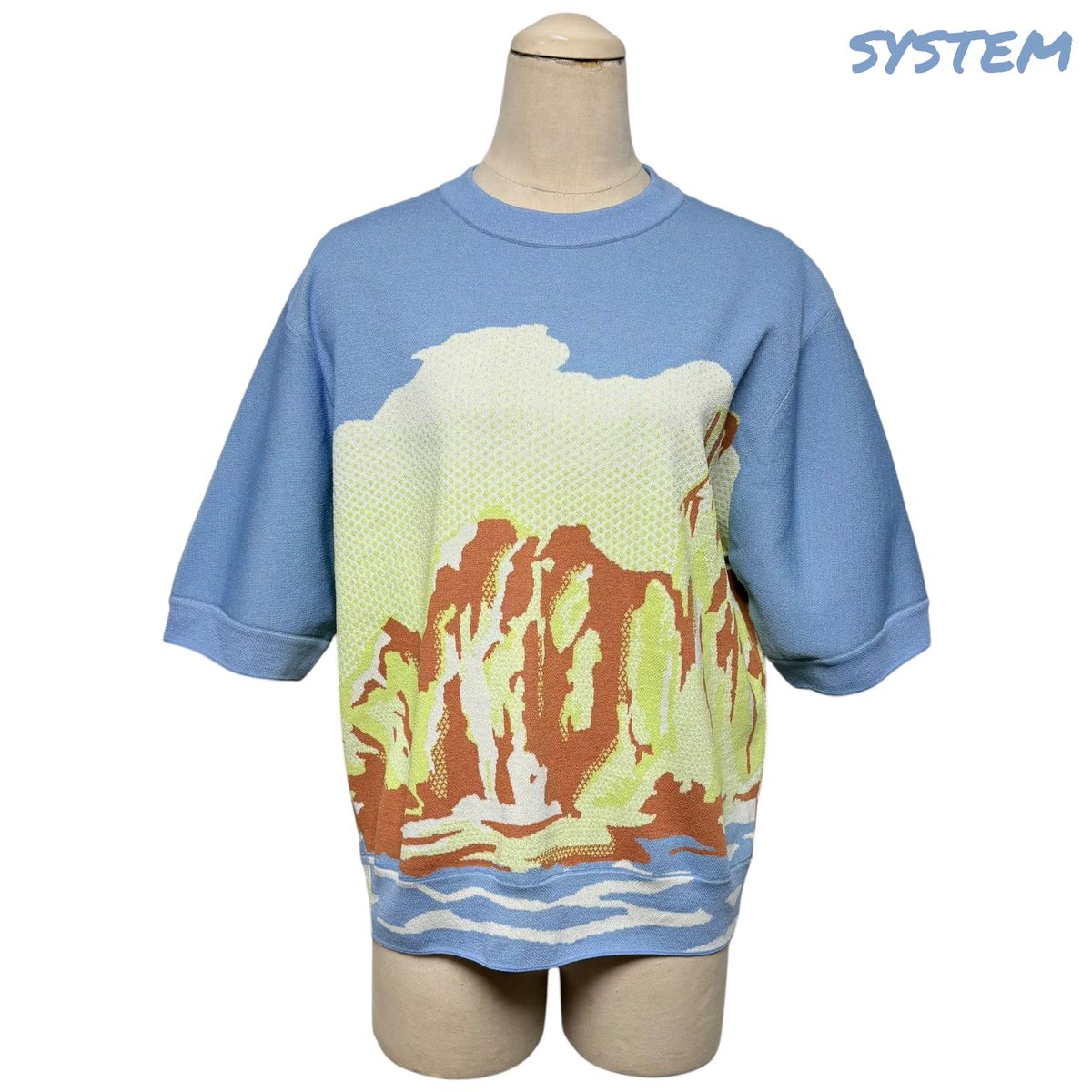 3977 The HANDSOME SYSTEM アートワーク パータン 半袖ニット