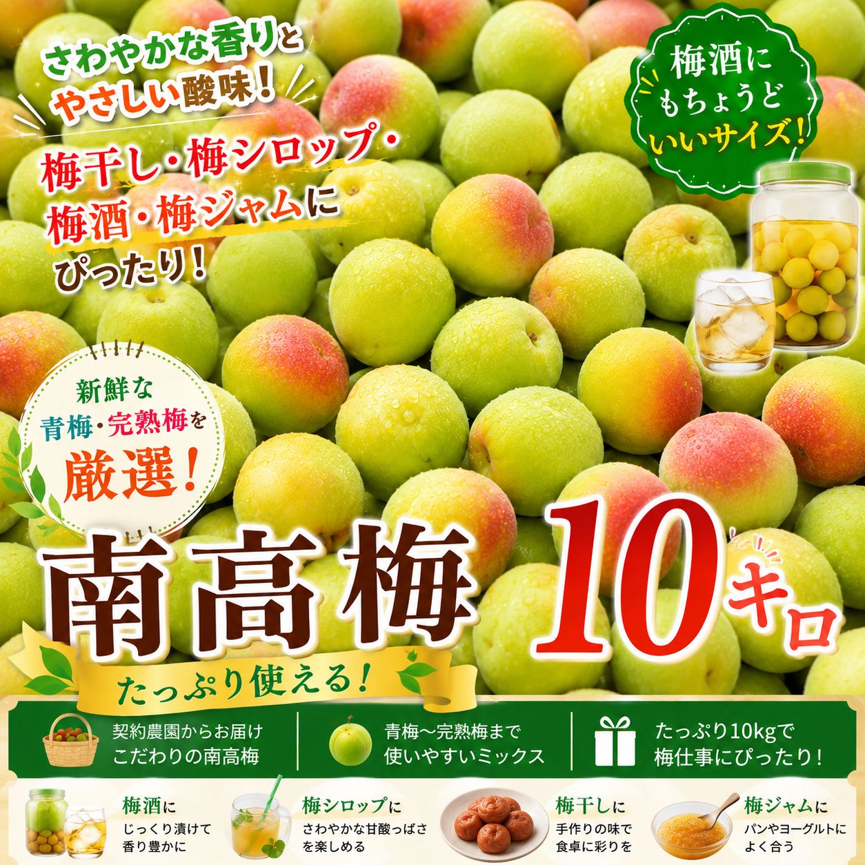 食品 南高梅(10キロ) 訳あり(値下げ‼️)