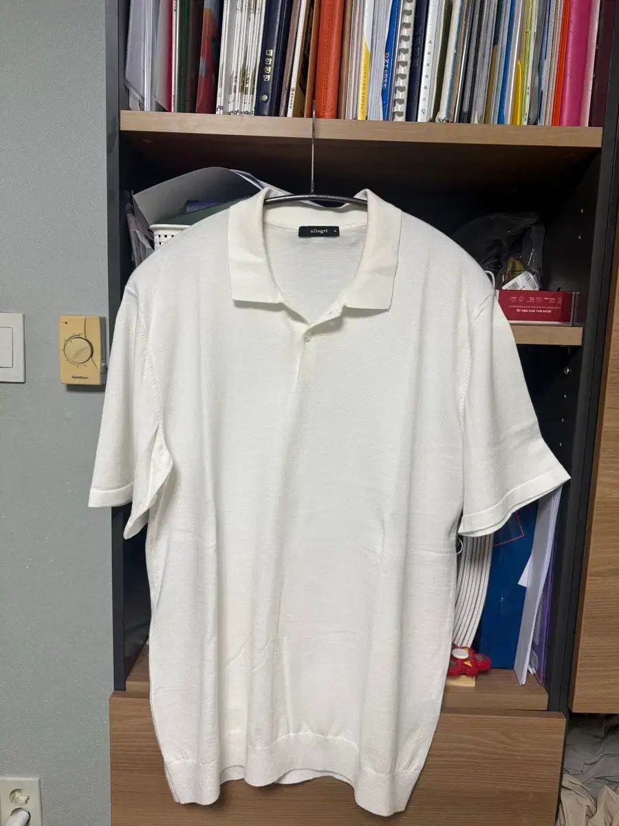 アレグリ レーヨン カラーTシャツ XL