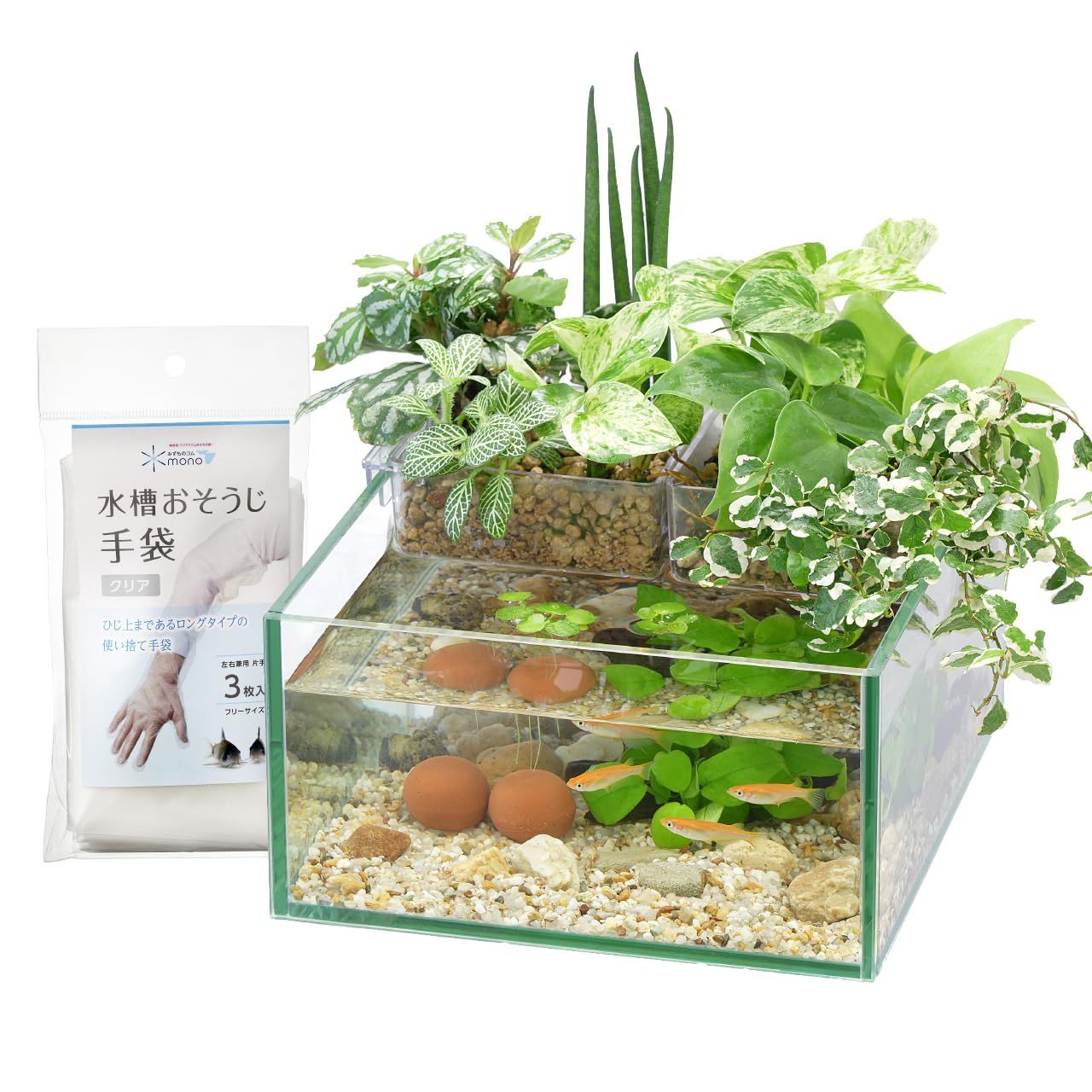 アクアテリア N190 メダカ用（ガラス水槽と水耕栽培プランター）【水槽おそうじ手袋】mt 5352c467
