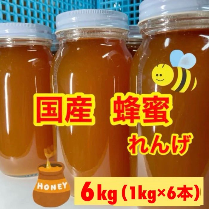 【今季取れたて】 蜂蜜　6本　国産　れんげ蜂蜜　非加熱　純粋蜂蜜　九州産