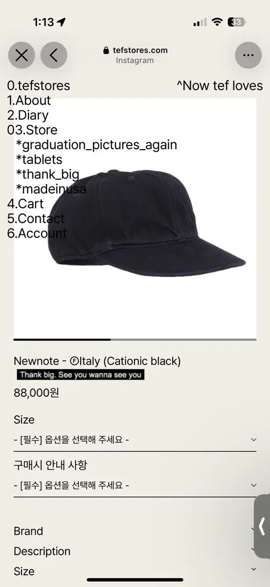 tefstores テフストアーズ Lサイズ 2回着用