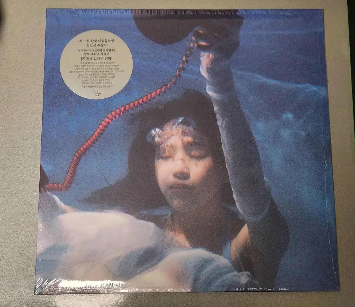 キム・イアンドル 夢の中で 捕まった テレフォニー lp