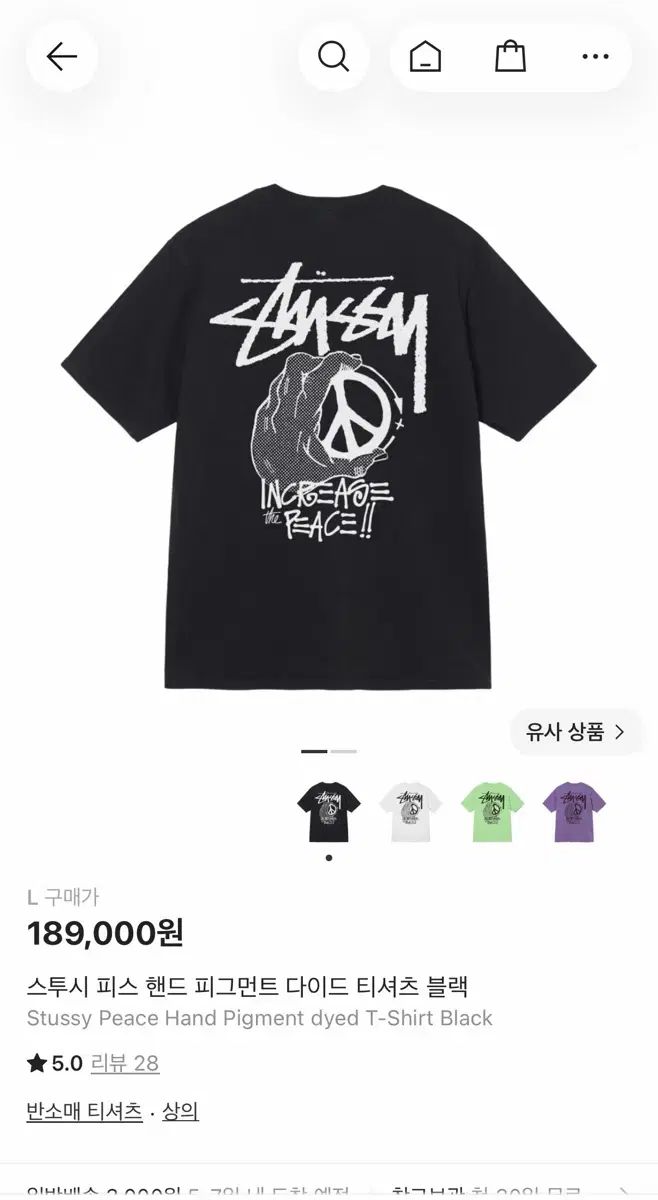 STUSSY ピグメント Tシャツ ブラック L