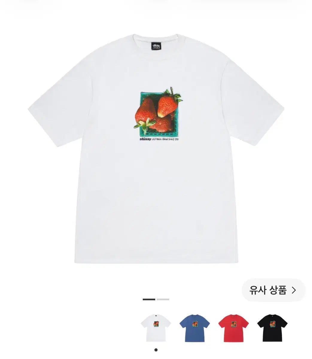 STUSSY ベリーズ Tシャツ 白 M (新品)