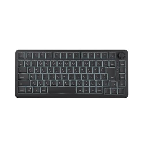 AIM1 瞬 ラピッドトリガー 0.01mm ゲーミングキーボード 日本語配列 75%サイズ ポーリングレート8000Hz対応 MATATAKI ブラック送料無料