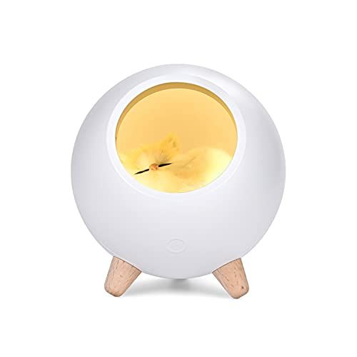 Ottocast E2本体と4in1充電ケーブル リモコン着き-【驚きの値段】